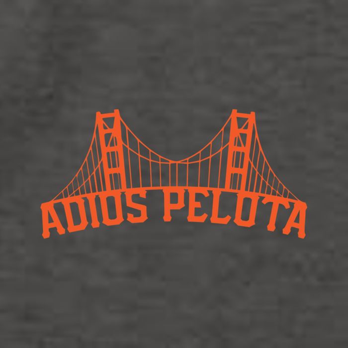 Adios Pelota Vector Backpack