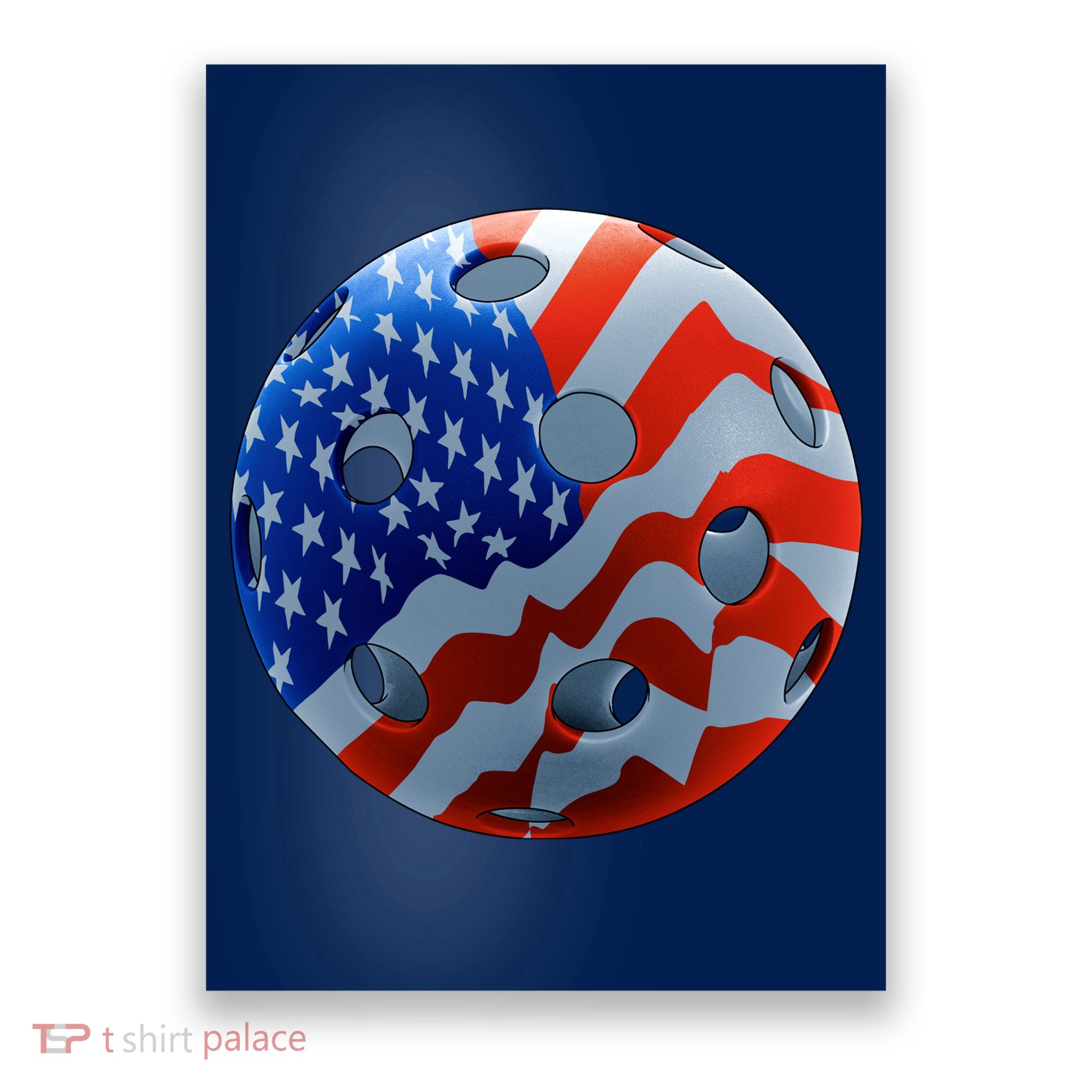 American Pickleball Poster
