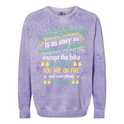 Administrative Professional Assistant Principal Teacher Funny Gift Colorblast Crewneck Sweatshirt