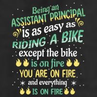 Administrative Professional Assistant Principal Teacher Funny Gift 7 Panel Mesh Trucker Snapback Hat