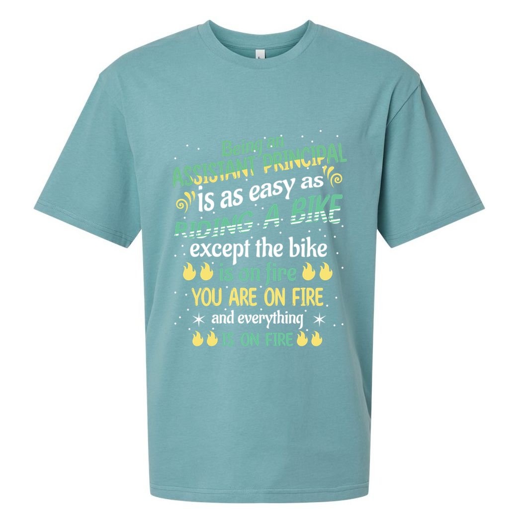 Administrative Professional Assistant Principal Teacher Funny Gift Sueded Cloud Jersey T-Shirt