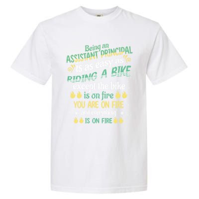 Administrative Professional Assistant Principal Teacher Funny Gift Garment-Dyed Heavyweight T-Shirt