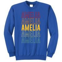 Amelia Pride Amelia Gift Sweatshirt