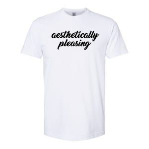 Aesthetically Pleasing Softstyle CVC T-Shirt