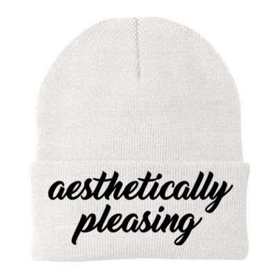 Aesthetically Pleasing Knit Cap Winter Beanie