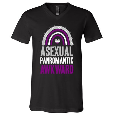 Asexual Panromantic Awkward Asexual Pride Bohemian Rainbow V-Neck T-Shirt