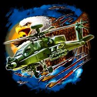 Apache Eagle Visor