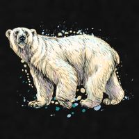 Abstract Polar Bear From A Splash Ladies PosiCharge Tri-Blend Wicking Tank