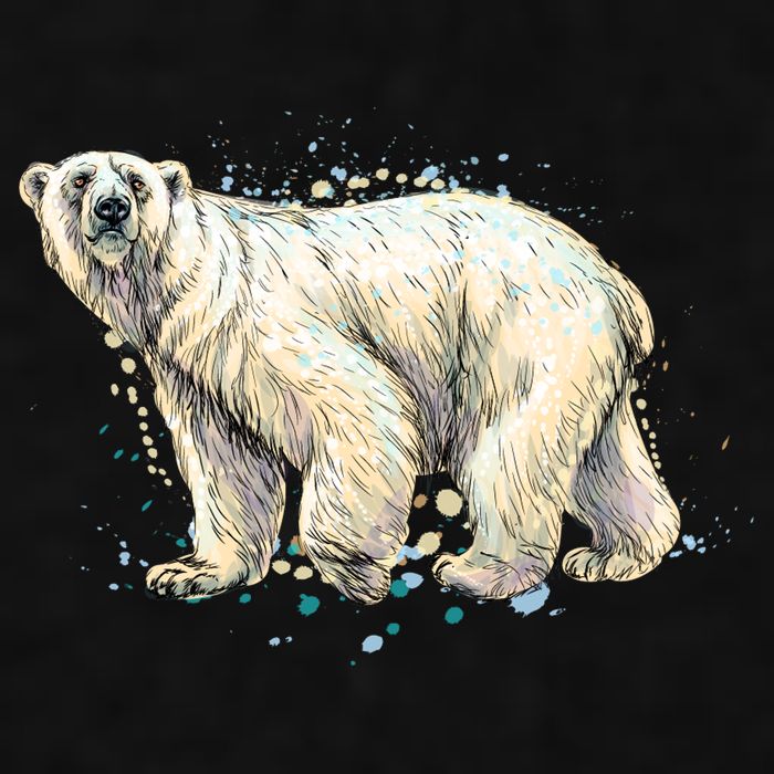 Abstract Polar Bear From A Splash Ladies PosiCharge Tri-Blend Wicking Tank