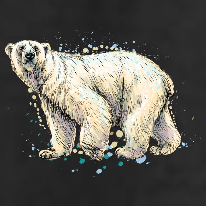 Abstract Polar Bear From A Splash Beanie