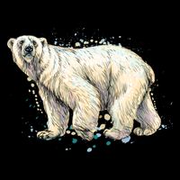 Abstract Polar Bear From A Splash 16 in Basic Backpack