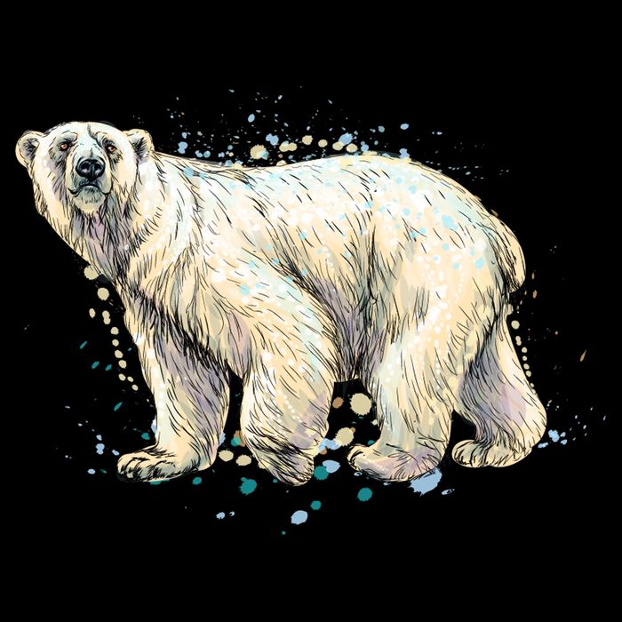 Abstract Polar Bear From A Splash 16 in Basic Backpack