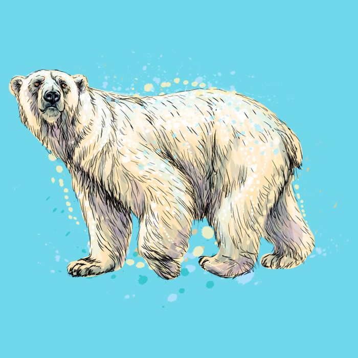 Abstract Polar Bear From A Splash Long Sleeve Shirt