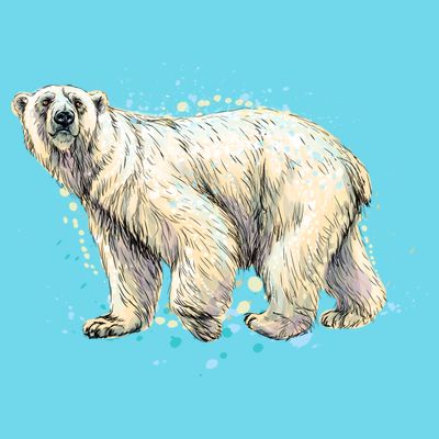 Abstract Polar Bear From A Splash T-Shirt