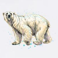 Abstract Polar Bear From A Splash Garment-Dyed Sweatshirt