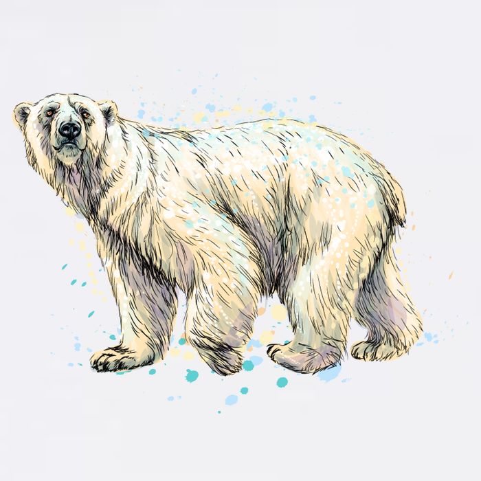 Abstract Polar Bear From A Splash Garment-Dyed Sweatshirt