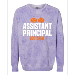 Assistant Principal Boo Crew Halloween Assistant Principal Cute Gift Colorblast Crewneck Sweatshirt