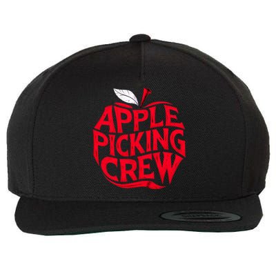 Apple Picking Crew Funny Orchard Harvest Season Fall Autumn Wool Snapback Cap