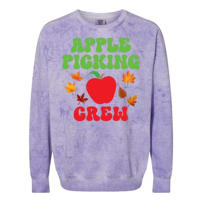 Apple Picking Crew Fall Family Outfit Autumn Fall Apple Lover Apple Picking Colorblast Crewneck Sweatshirt