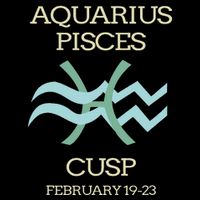 Aquarius Pisces Cusp Zodiac Horoscope Cooling Performance Crew T-Shirt