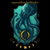 A Perfect Circle – Moon Oracle 16 in Basic Backpack