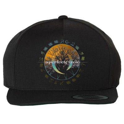 A Perfect Circle Woodland Wool Snapback Cap