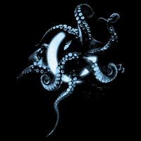 A Perfect Circle – Glowing Octopus Wool Snapback Cap