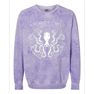 A Perfect Circle Octopus Pi Day Colorblast Crewneck Sweatshirt