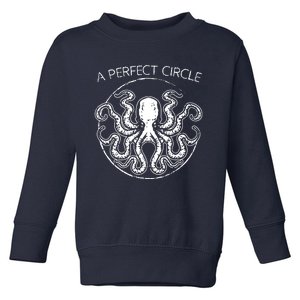 A Perfect Circle Octopus Pi Day Toddler Sweatshirt