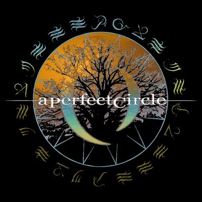 A Perfect Circle – Woodland T-Shirt