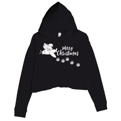 Aircraft Pilot Christmas Xmas Airplane Merry Christmas Gift Crop Fleece Hoodie