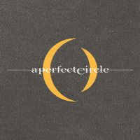 A Perfect Circle – Logo Cotton Canvas Backpack