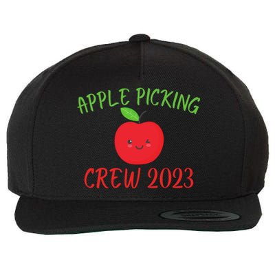 Apple Picking Crew Autumn Fall Apple Lover Apple Picking Fall Family Outfit Wool Snapback Cap