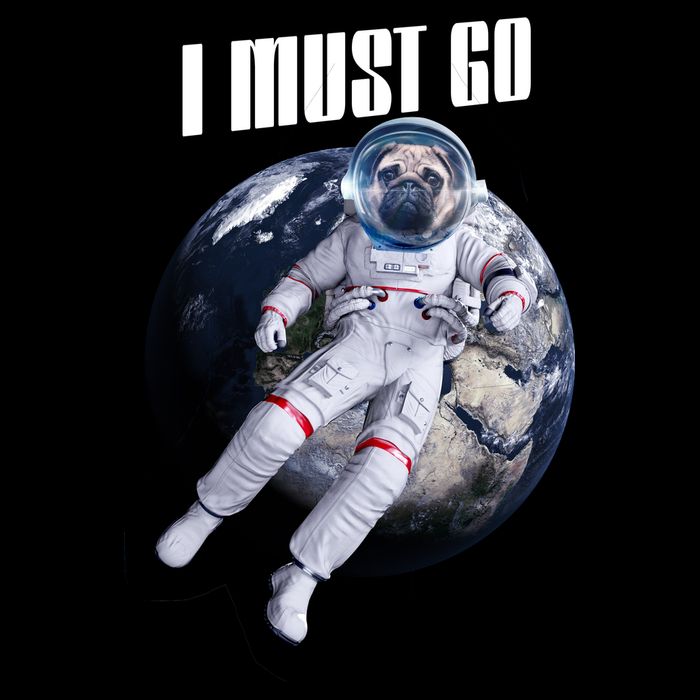 Astronaut Pug Dog I Must Go Toddler T-Shirt