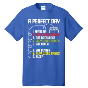 A Perfect Day Funny Gaming Gamer Video Game Meaningful Gift Tall T-Shirt