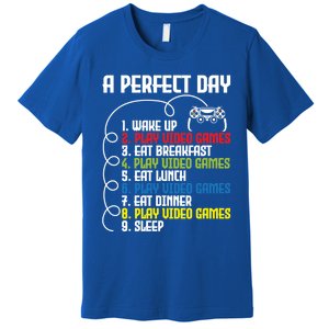 A Perfect Day Funny Gaming Gamer Video Game Meaningful Gift Premium T-Shirt