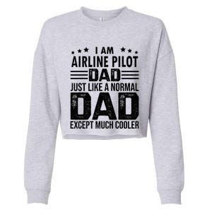 Airline Pilot Dad Irplane Airline Pilot Fathers Day Gift Cropped Pullover Crew