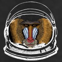 Ape Astronaut 15oz Campfire Ceramic Mug