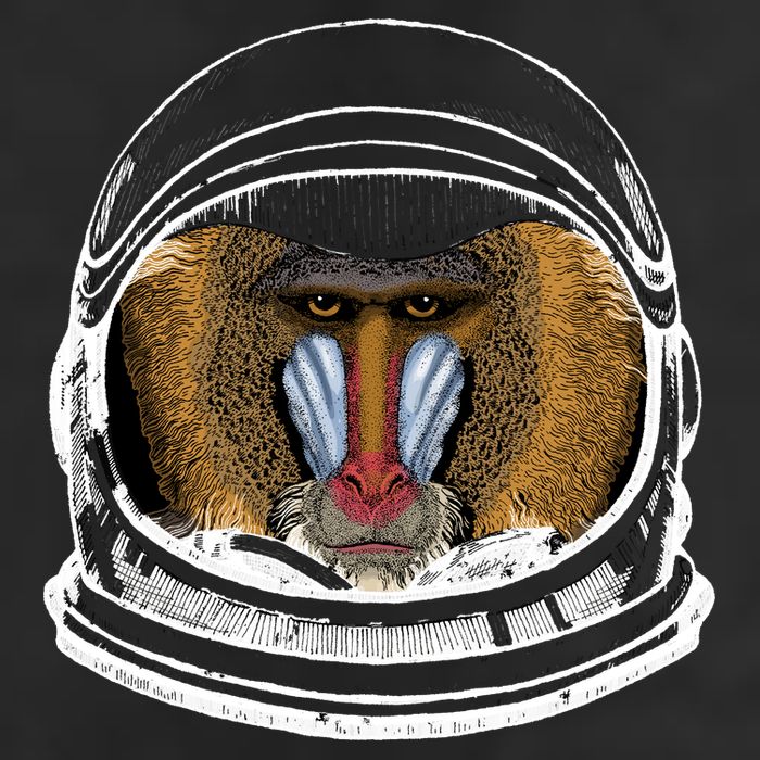 Ape Astronaut 15oz Campfire Ceramic Mug