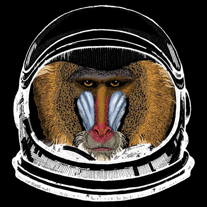 Ape Astronaut Mesh Reversible Basketball Jersey Tank