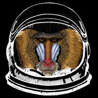 Ape Astronaut Magnet