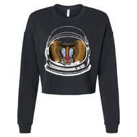 Ape Astronaut Cropped Pullover Crew