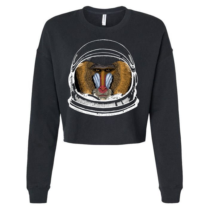 Ape Astronaut Cropped Pullover Crew