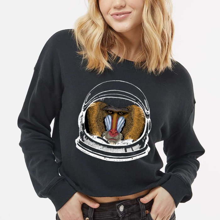 Ape Astronaut Cropped Pullover Crew