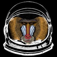Ape Astronaut Cropped Pullover Crew