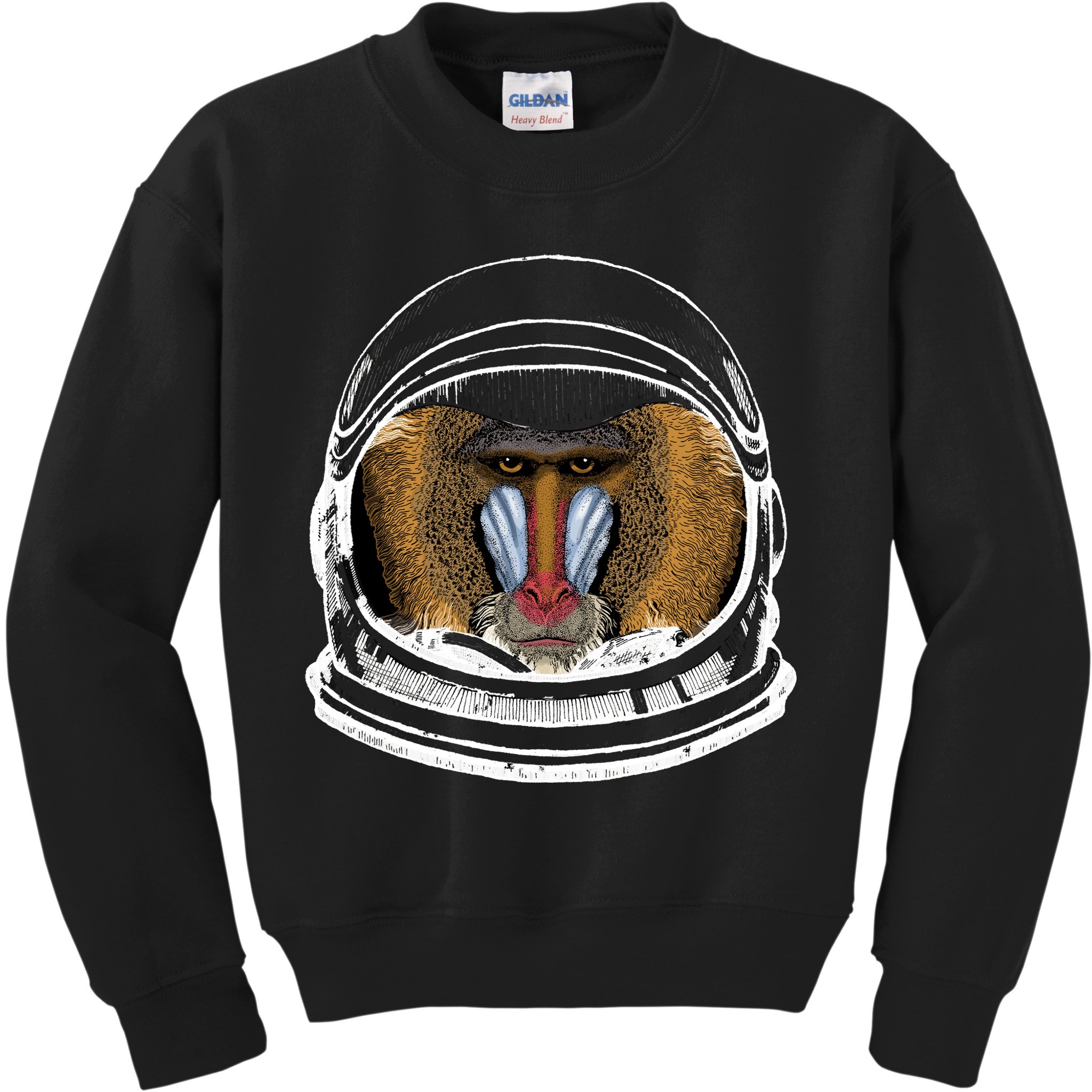 Ape Astronaut Kids Sweatshirt