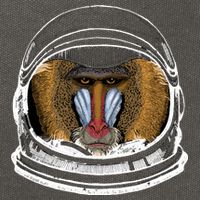 Ape Astronaut Cotton Canvas Backpack