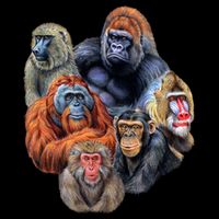 Ape Collage Cooling Performance Crew T-Shirt