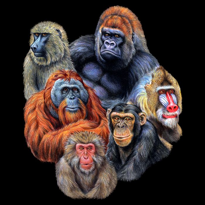 Ape Collage Cooling Performance Crew T-Shirt
