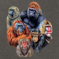 Ape Collage Cotton Canvas Backpack
